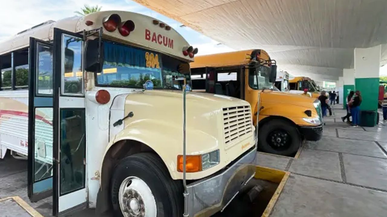 Operadores de transporte en Ciudad Obregón mantienen licencias sin sanciones por utilizar celular