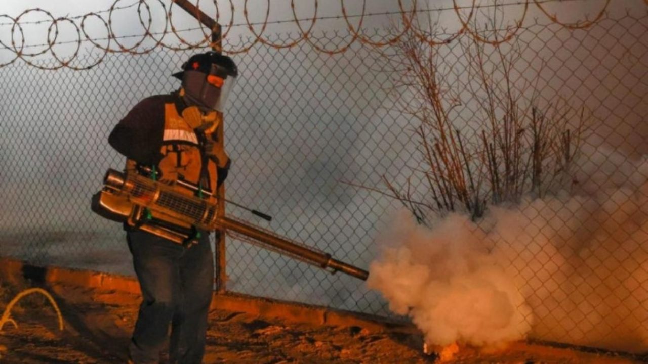 Confirma Secretaria de Salud cinco defunciones por dengue en Sonora durante 2025