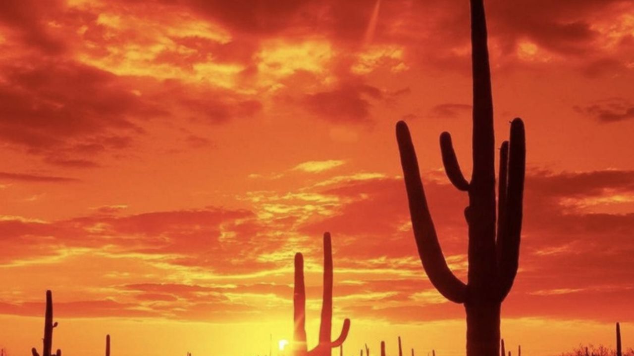 Clima en Sonora HOY 2 de diciembre: Frío al amanecer, calor por la tarde y vientos FUERTES