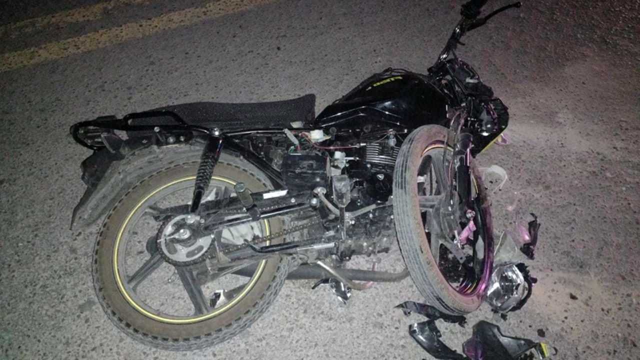 Ellos sí sobrevivieron 