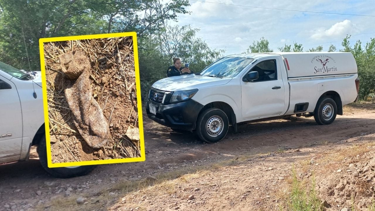 Búsqueda positiva en Guaymas: Colectivo y autoridades hallan restos óseos y prendas de vestir