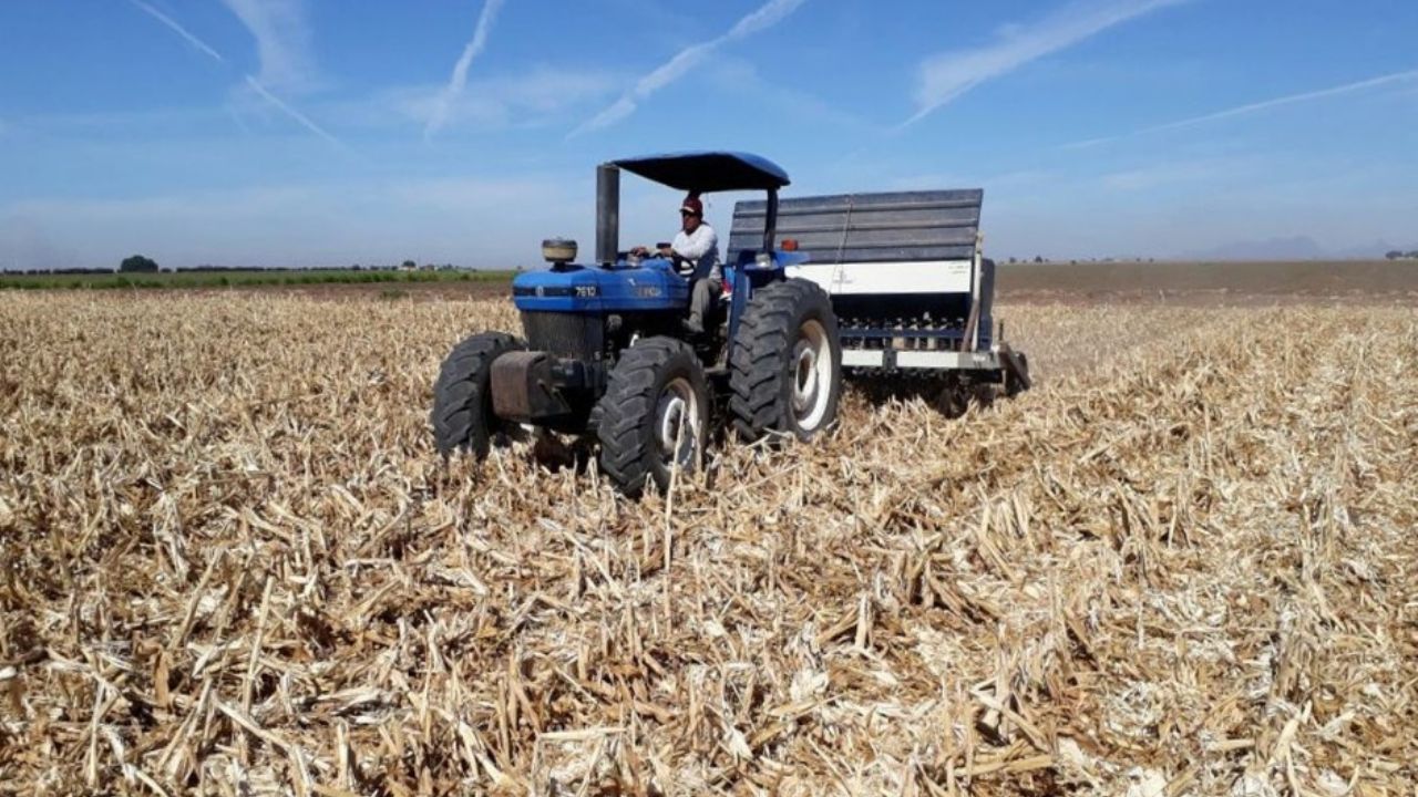 Sonora: Autorizan permisos de 38 mil hectáreas para el Valle del Mayo y Fuerte Mayo