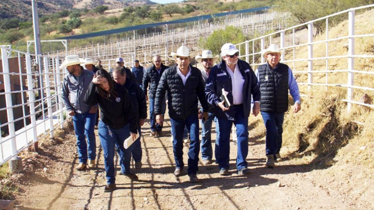 Inspectores de EU visitan Sonora para evaluar condiciones sanitarias para exportación de ganado