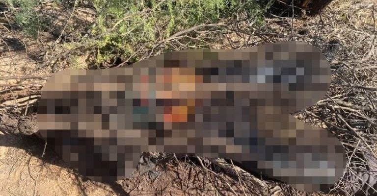 Localizan cuerpo en avanzado estado de putrefacción a espaldas del aeropuerto de Hermosillo.