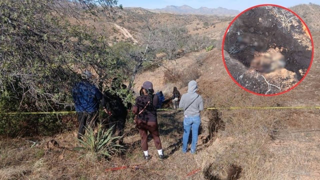 Localizan fosa clandestina con restos humanos en Nogales; trabajan para identificar a la víctima