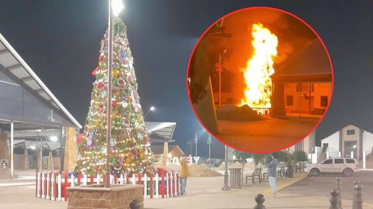 FUERTES IMÁGENES: Voraz INCENDIO destruye árbol de Navidad en Palacio Municipal de Sonora