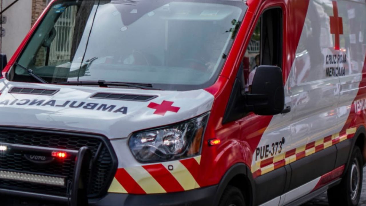 CDMX: Recién nacido sin vida es abandonado bajo un puente, perros alertan a transeúnte en Tlalpan