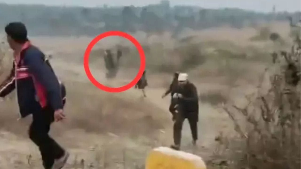 VIDEO: Elefante ataca a turistas tras intentar tomarse una selfie con él; hay una persona muerta