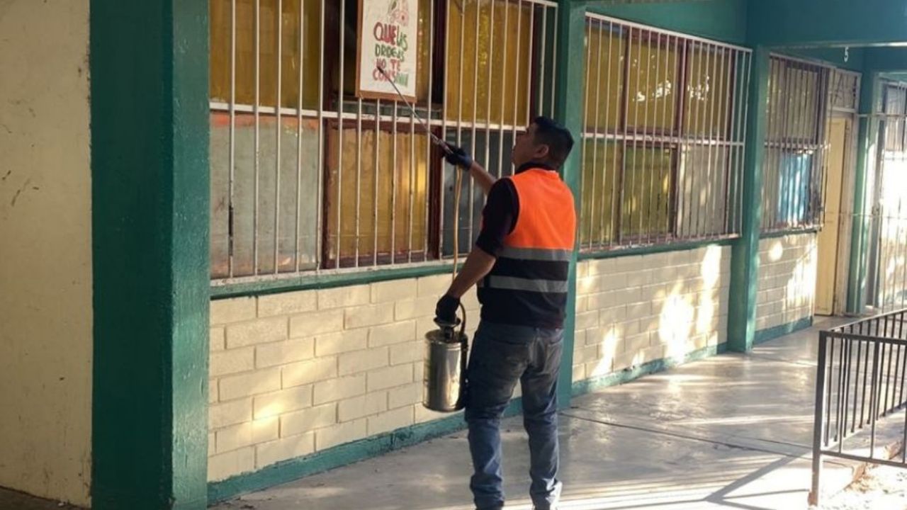 Escuelas de la Región Yaqui en el sur de Sonora solicitan fumigación tras incremento en casos de dengue