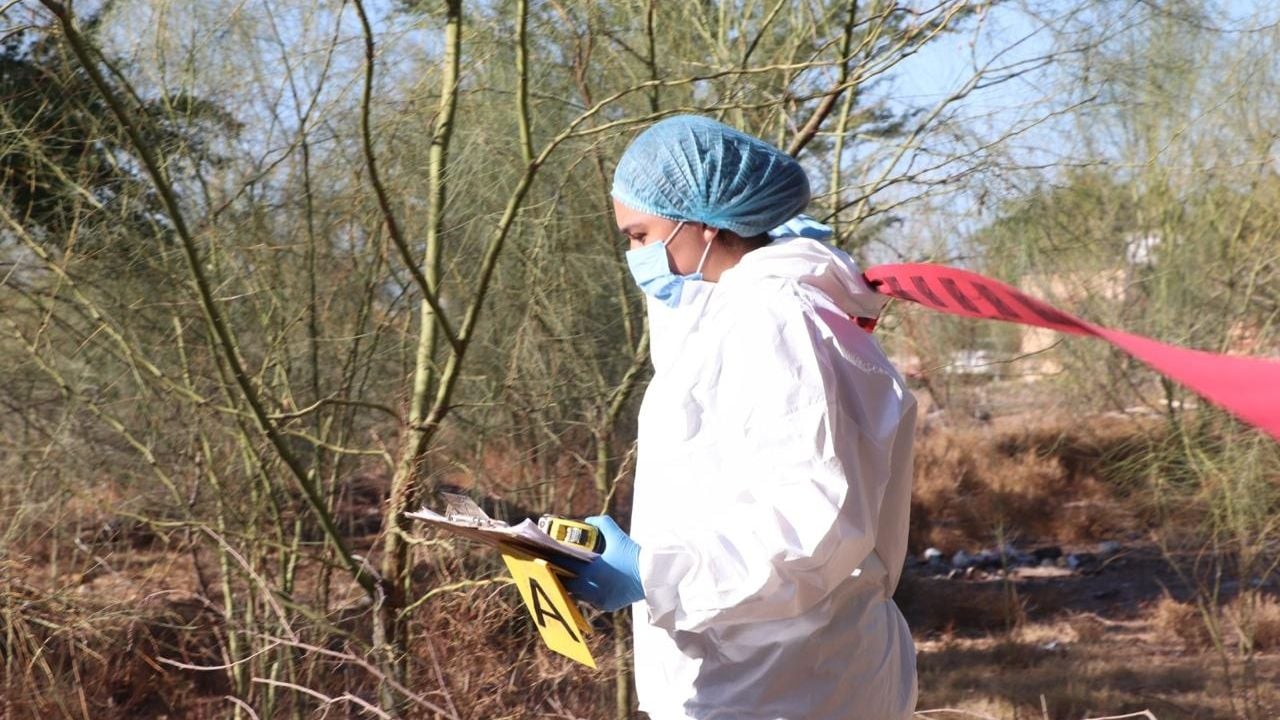En plena Navidad, buscadoras localizan dos cuerpos en fosa clandestina al sur de Sonora