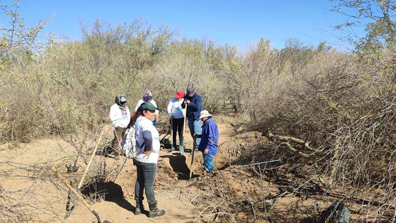 102 cuerpos fueron localizados por las Guerreras Buscadoras durante 2025; continúan las búsquedas de desaparecidos