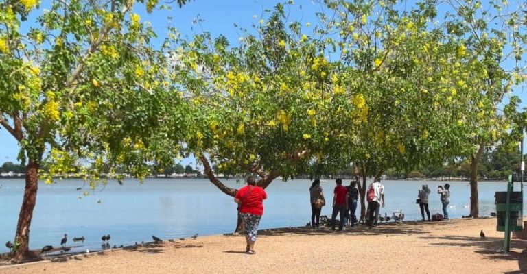 Clima cálido y paisanos generan gran afluencia a Laguna del Náinari en Ciudad Obregón
