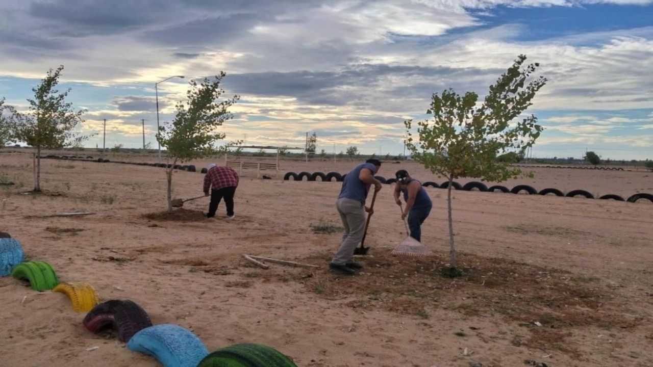Recuperan espacios en San Luis Río Colorado con Jornada Permanente por la Paz