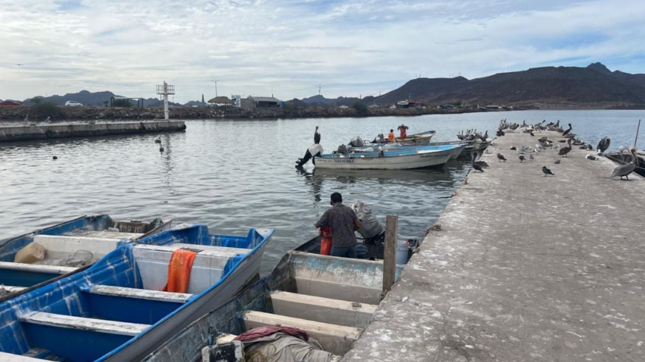 Ribereños de Guaymas y Empalme ven un mal panorama en el sector pesquero para este 2026