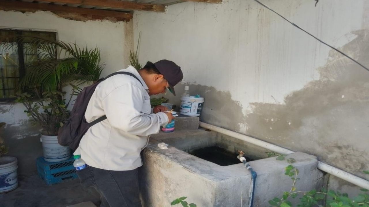 Limpiar patios reduce el riesgo de rickettsia y dengue: Secretaría de Salud en Sonora