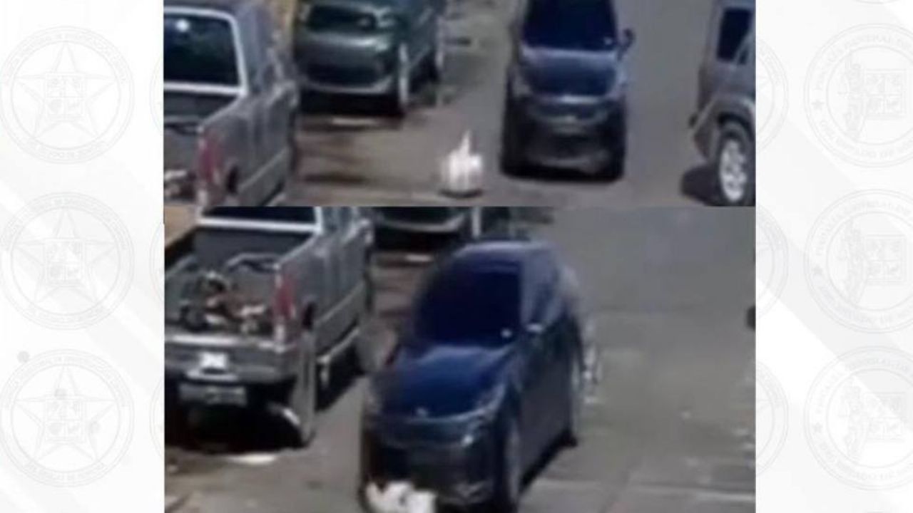 Ubican a vehículo que atropelló y lesionó a perros en Cananea; FGJES mantiene investigación