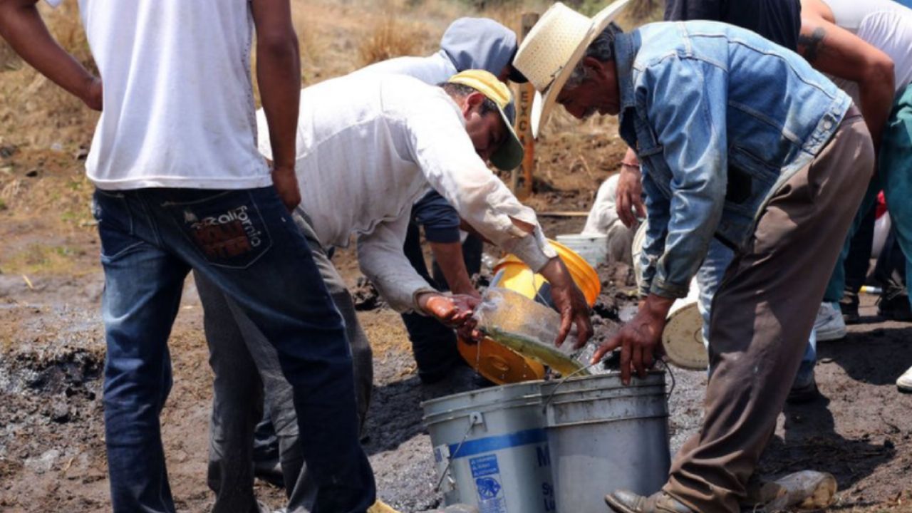 Fuerte GOLPE al huachicol en Nogales: Decomisan tráiler con más de 62 mil litros de diésel