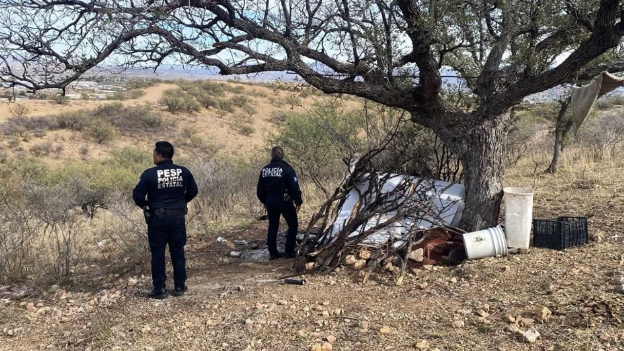 Decomisan casi 700 dosis de droga y destruyen punto de halconeo en Nogales; hay un detenido