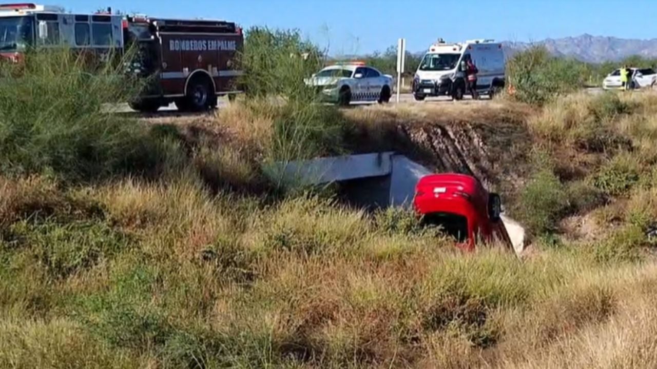 Caballo invade la carretera Guaymas–Ciudad Obregón y provoca un accidente que dejó una persona muerta