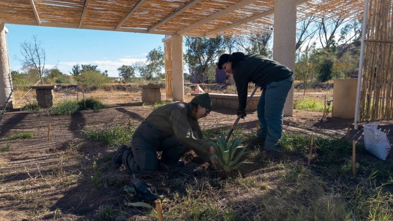 Se vive gran fin de semana en el Bosque Urbano La Sauceda de Hermosillo con programación cultural, ambiental y recreativa