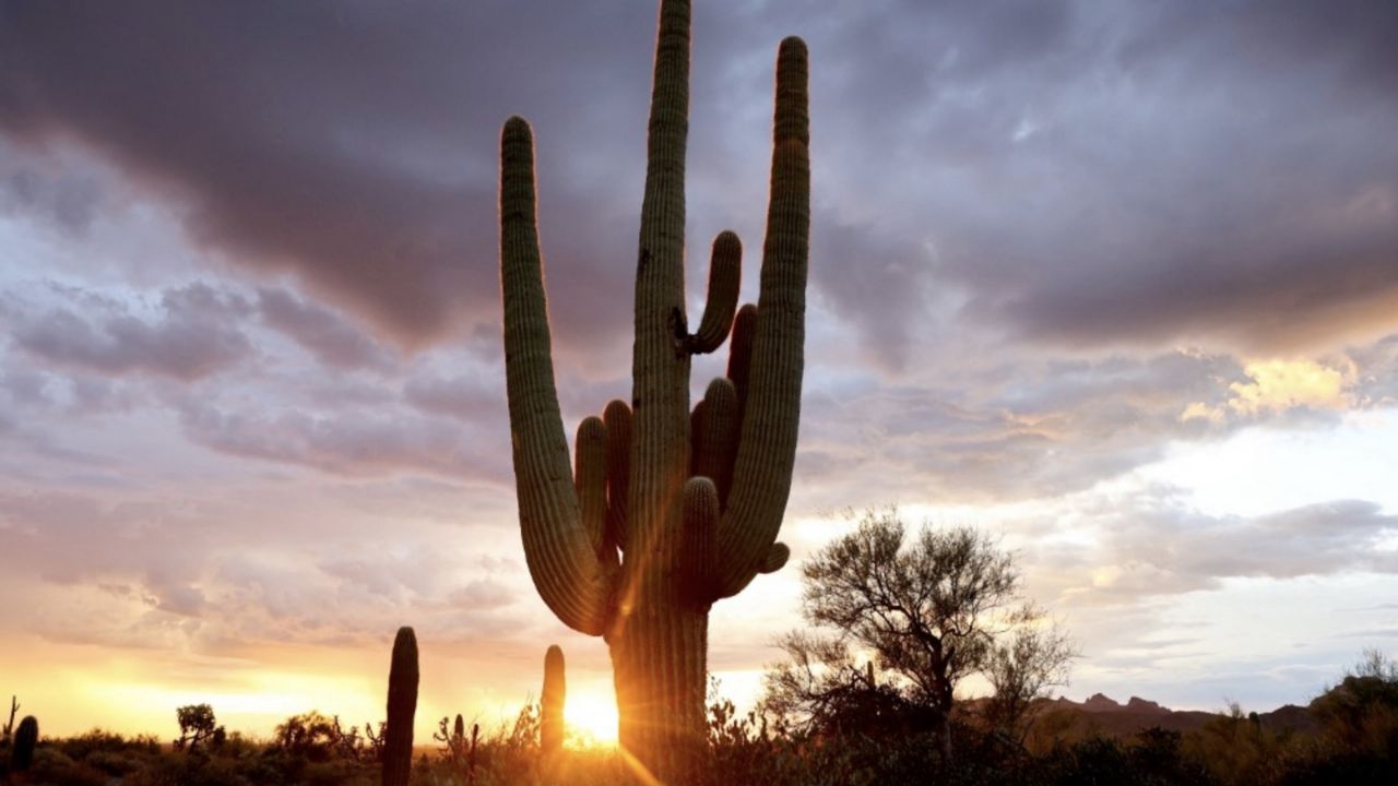 Clima en Sonora HOY 16 de enero: Conagua ALERTA frío por la mañana y calor moderado por la tarde