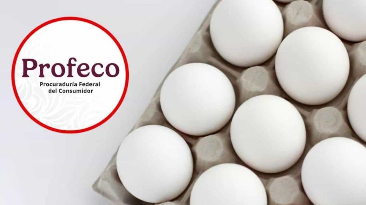 Profeco realiza comparativa del precio del huevo y revela dónde es más BARATO; aquí los detalles