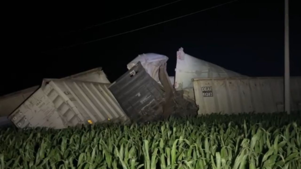 Tren de carga sale de las vías en Maquipo, Sinaloa; vagones terminaron en una siembra de maíz