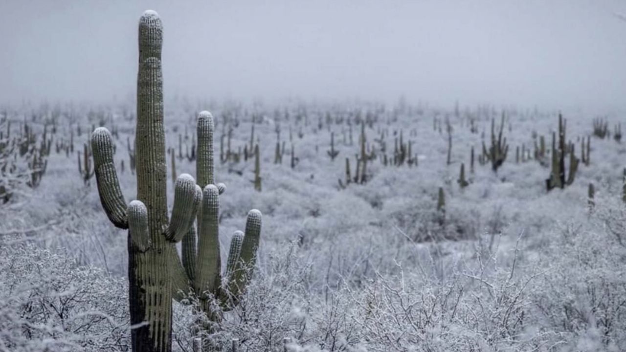 Clima en Sonora HOY 28 de enero: Advierten HELADAS matutinas y ambiente cálido por la tarde