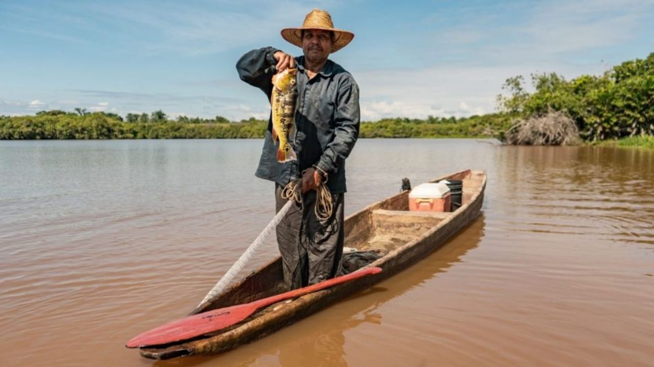 Febrero inicia con periodo de veda: Restringen captura de siete especies marinas en 10 estados del país