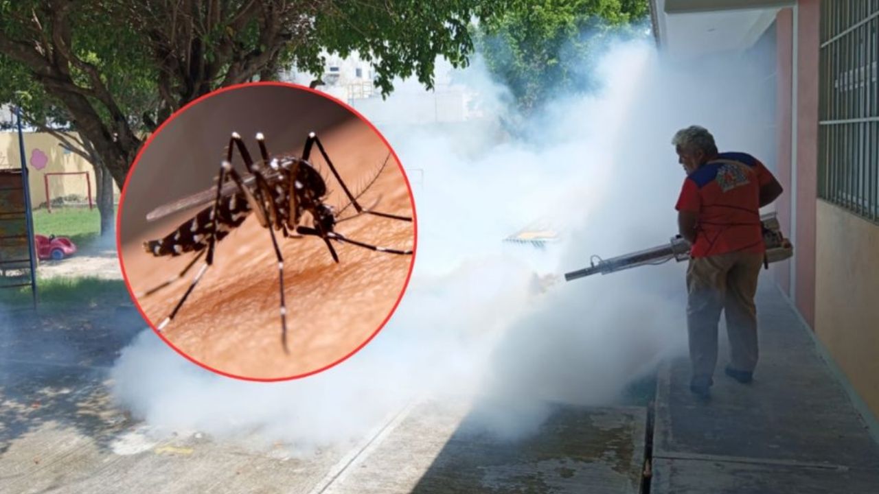 Tras recientes lluvias, Salud Sonora llama a la población a reforzar medidas contra el dengue
