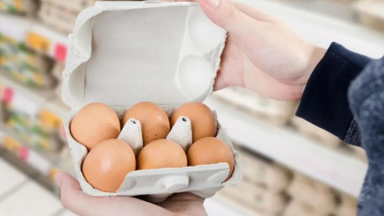Profeco resalta importancia de conservar y saber elegir el huevo para tener un alimento seguro y sano