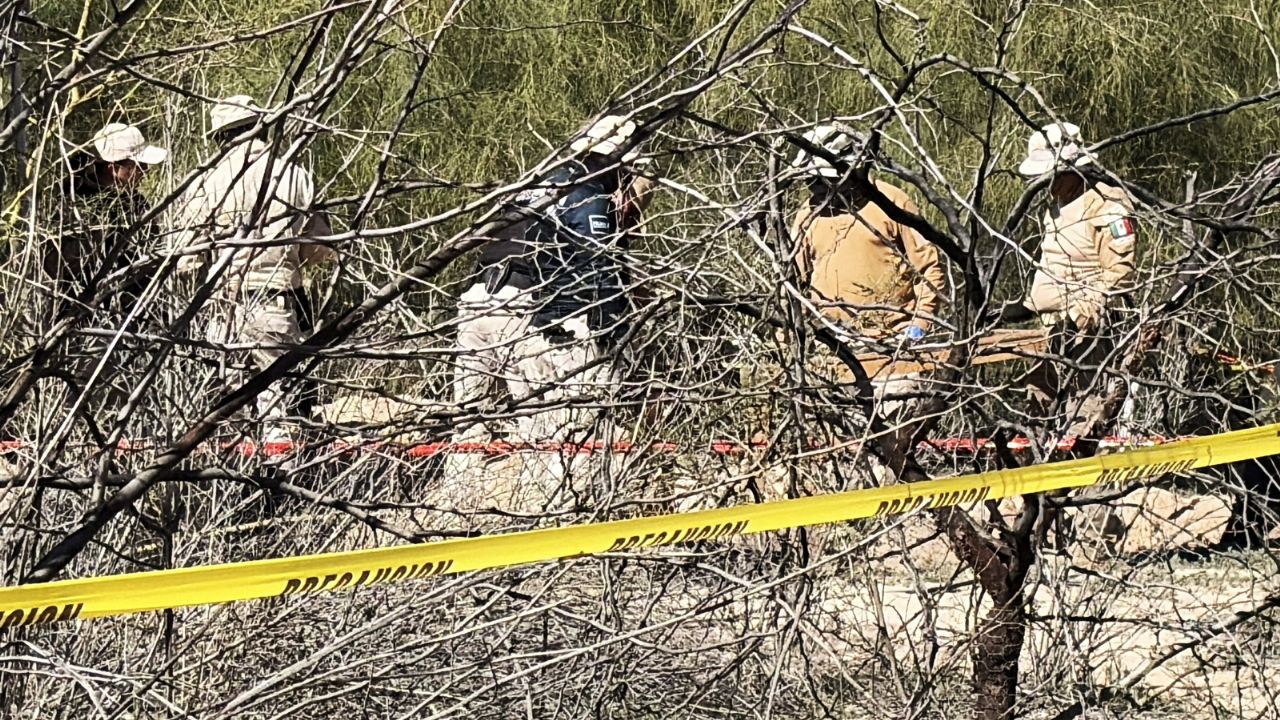 Encuentran 12 fosas clandestinas con 24 cuerpos en los límites de Baja California y Sonora