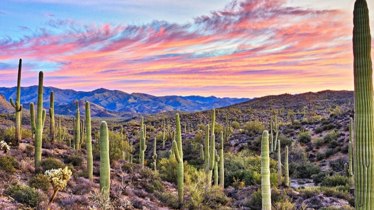 Clima en Sonora: Conagua advierte de cielos parcialmente nublados y ¿lluvias este lunes 2 de febrero?