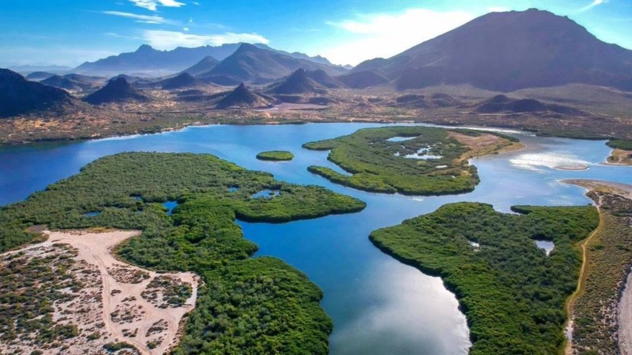 Sonora fortalece la investigación ecológica con nueva residencia en el Estero El Soldado