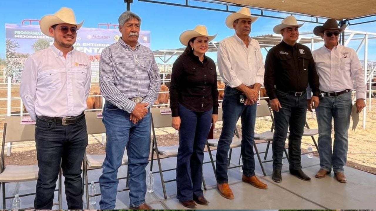 Aceleran modernización ganadera en Sonora con nueva entrega de sementales de registro