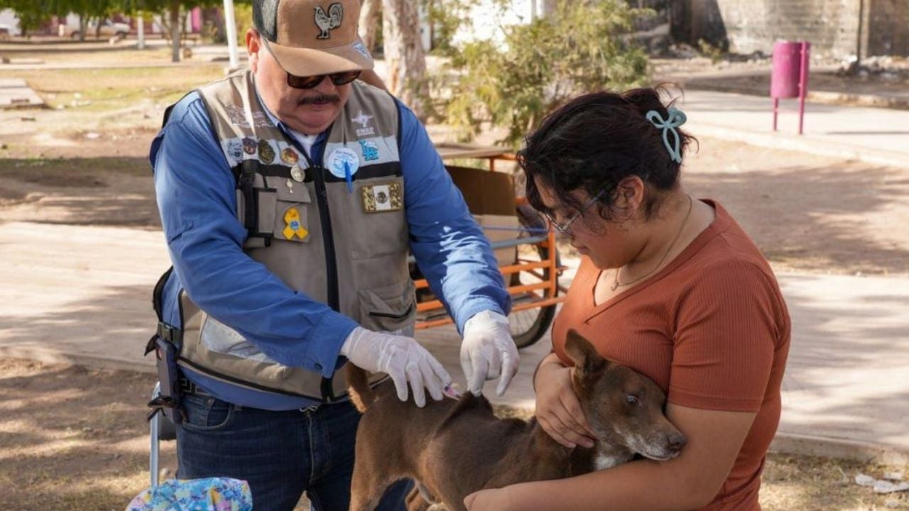 Mascotas sanas, hogares sanos: Invitan a clínicas móviles en Sonora para evitar enfermedades zoonóticas