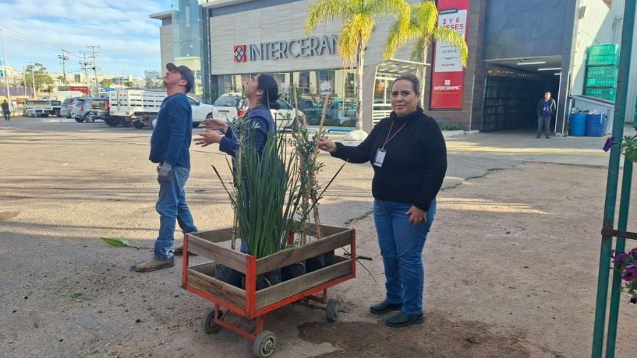 Secretaría de Agricultura realiza verificaciones en viveros de Nogales para proteger sanidad vegetal