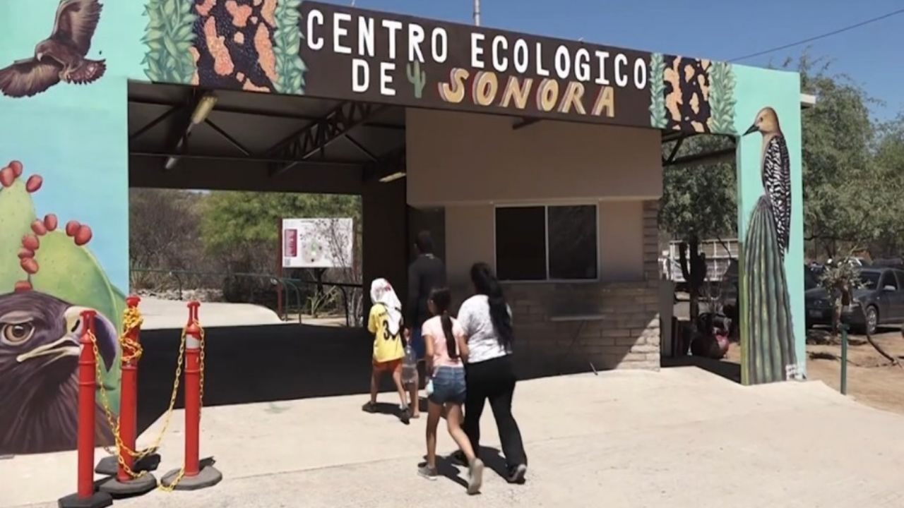 Construirán un acuario en el Centro Ecológico de Sonora; licitarán recursos para la obra