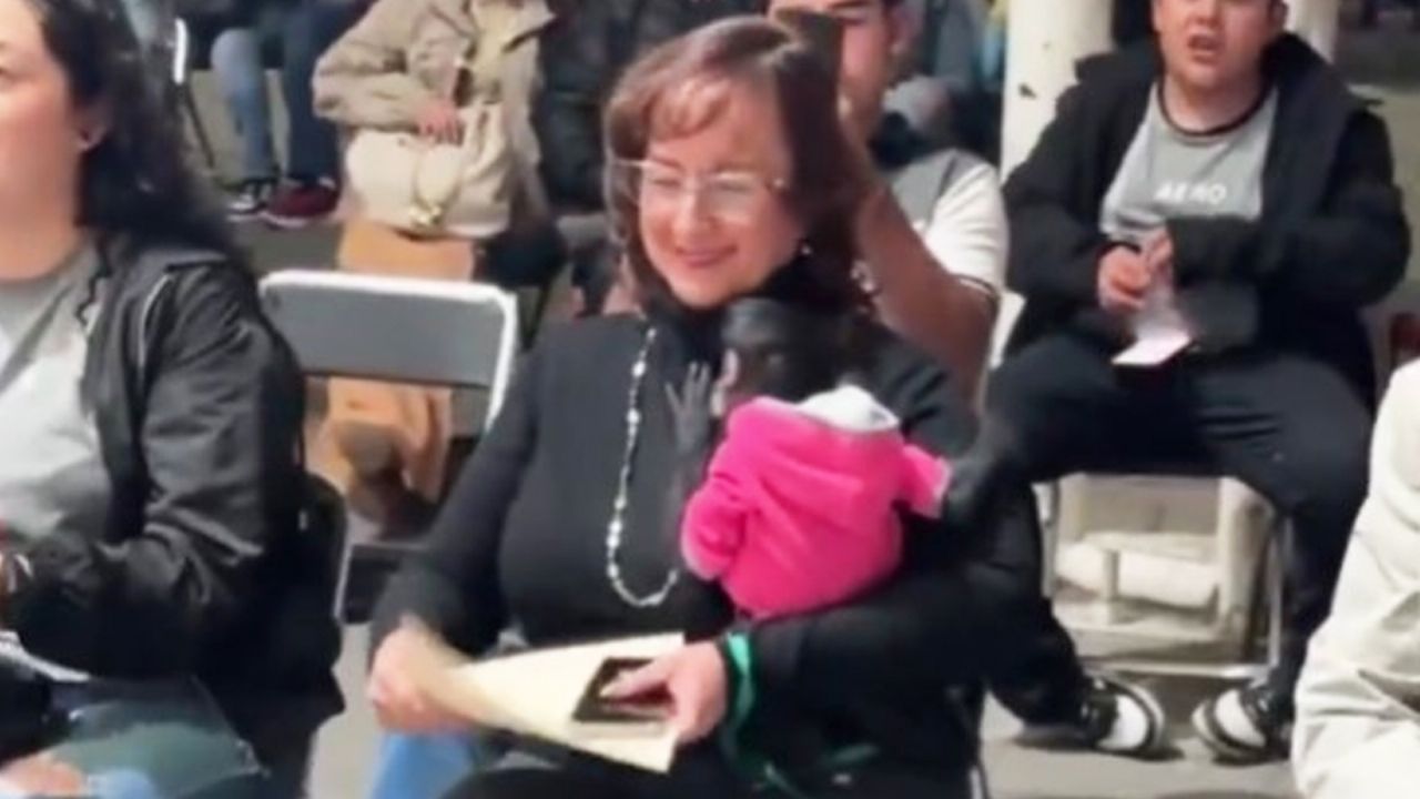 Regidora de MC se disculpa y renuncia tras polémica por posesión de mono araña en Jalisco