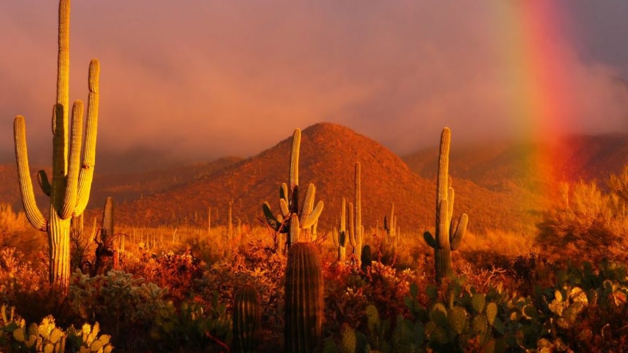 Clima en Sonora: Conagua pronóstica cielos despejados y ambiente cálido este sábado 14 de febrero