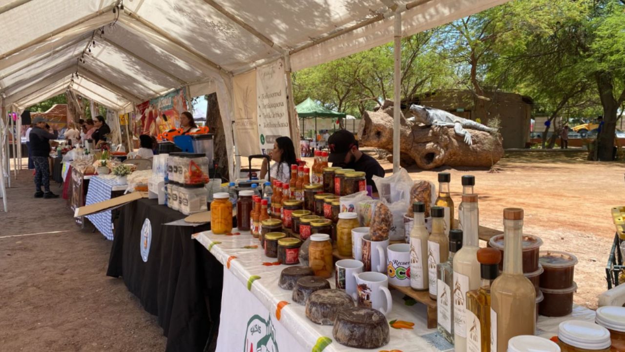 Con éxito se vivió el Coyota Fest 2026 en Cócorit; promocionan gastronomía local y a emprendedores