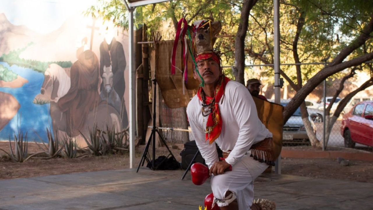 Festival en Cajeme: Etnias de Sonora se encuentran en Yo’o Joara entre cantos, danzas y tradiciones