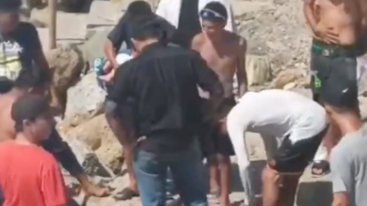 Tragedia: Delfín varado muere tras ser arrastrado y abierto en playa de Ecuador