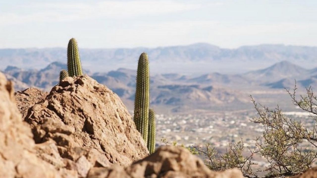 Clima Sonora HOY: Alertan mañana FRÍAS y tarde de hasta 34°C este MARTES 24 de febrero