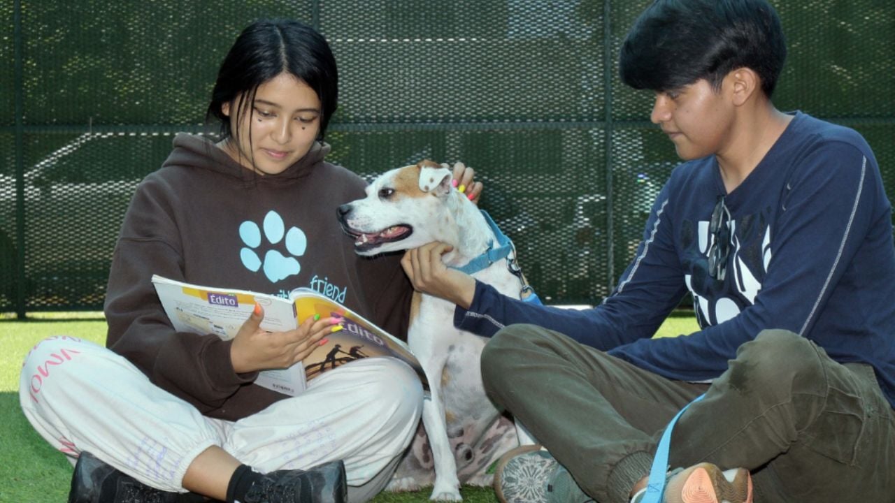 Realizarán congreso estatal de salud y bienestar humano-animal en Guaymas