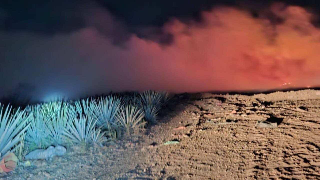 (VIDEO) Fuego en vertedero de Tequila mantiene CONTINGENCIA ambiental en Guadalajara HOY 28 de febrero