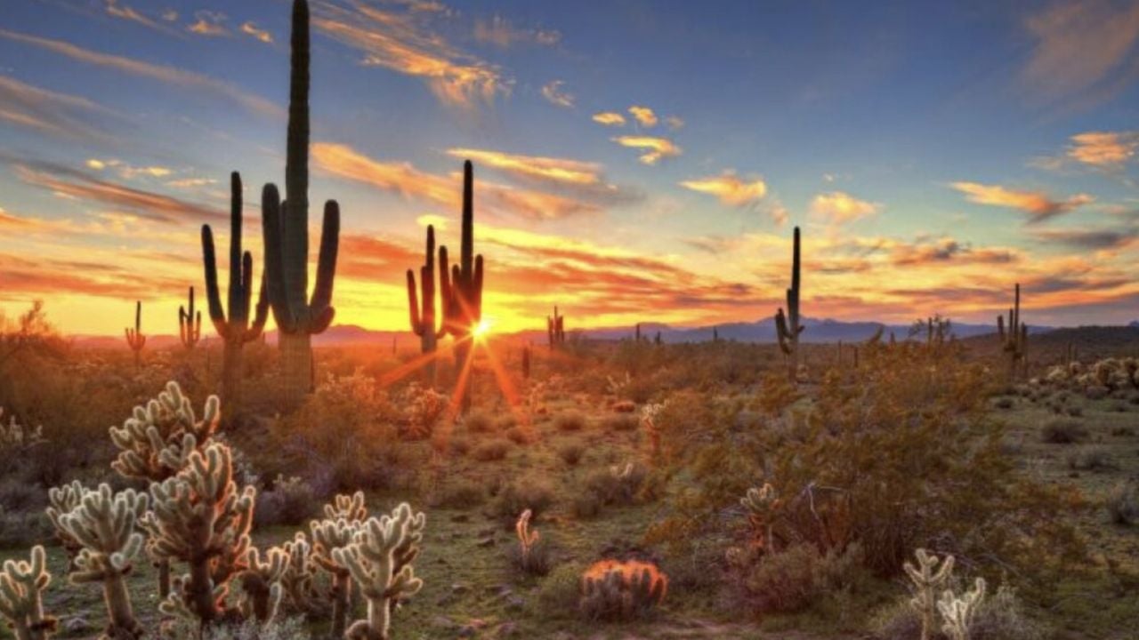 Clima en Sonora HOY jueves 5 de marzo: CALOR de hasta 32°C y fuertes rachas de viento