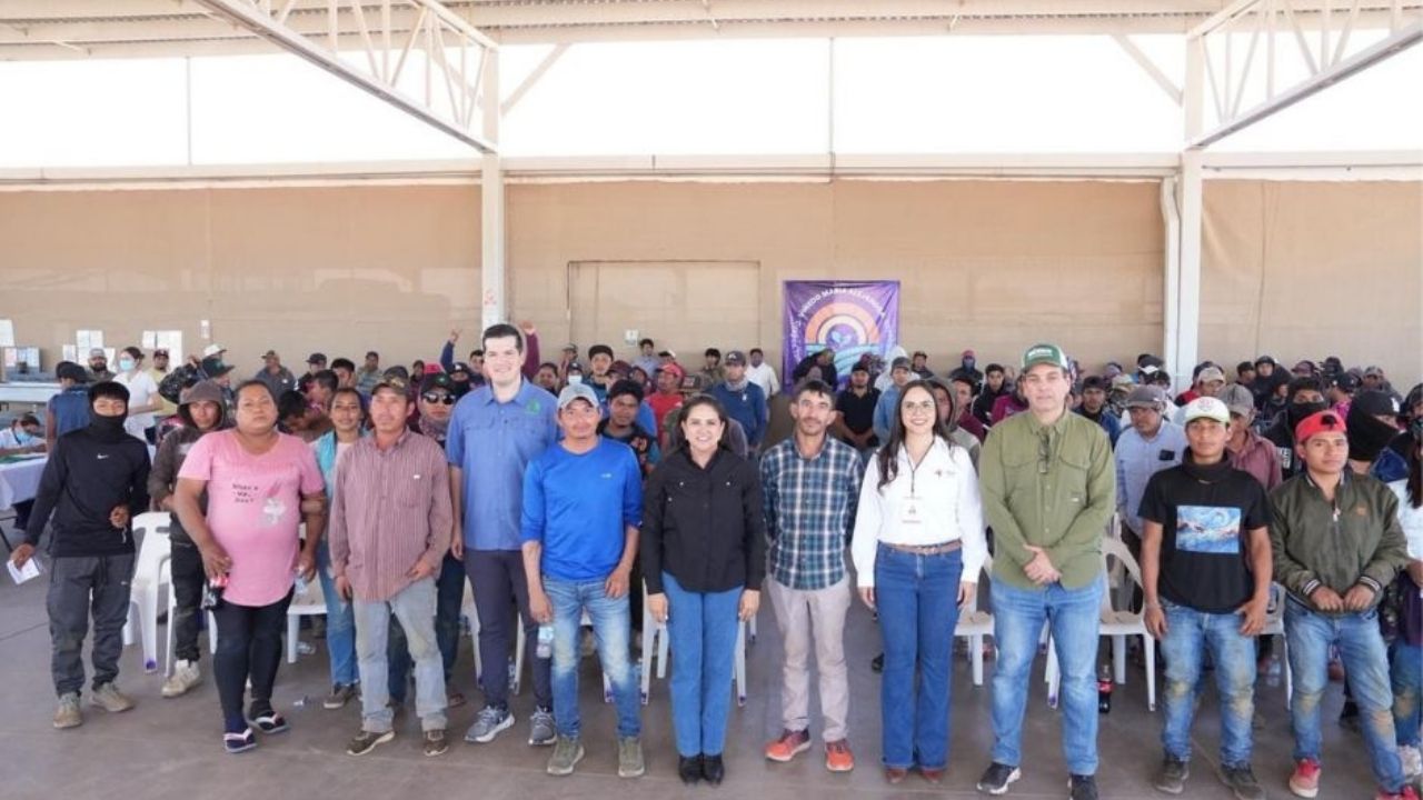 Gobierno de Sonora refuerza vacunación contra el sarampión en distintos campos agrícolas