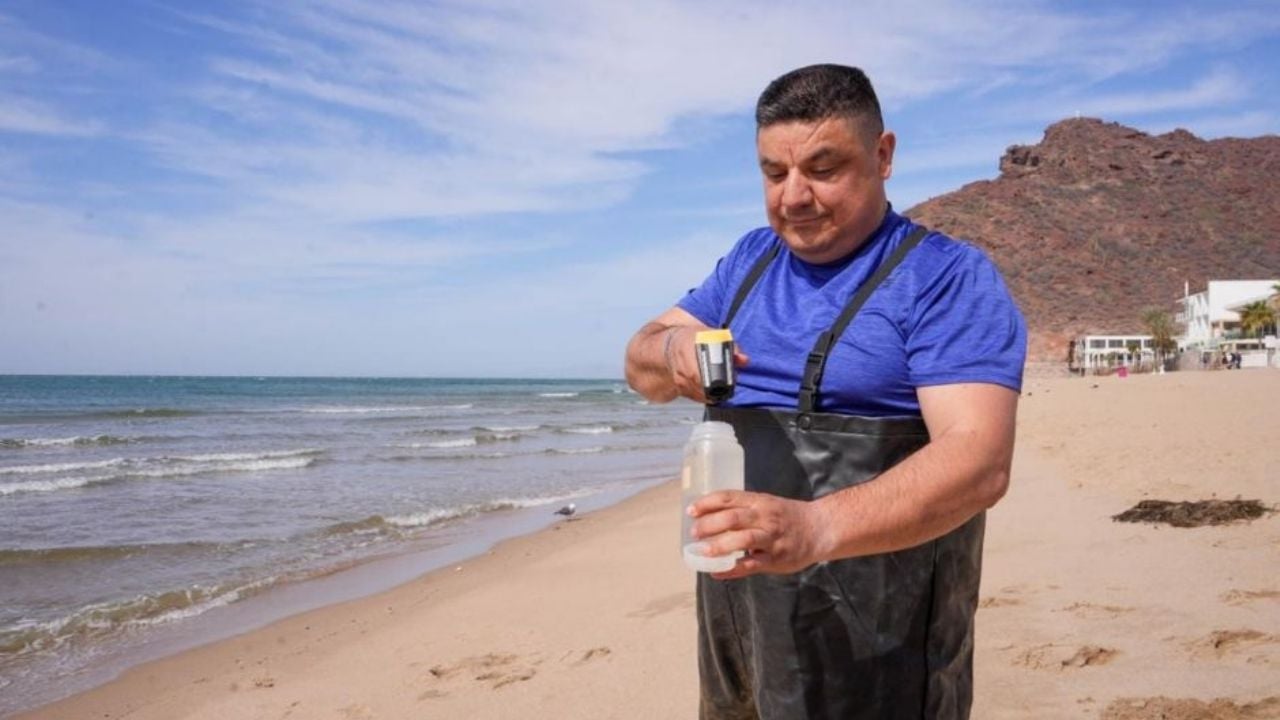 ¡Ya viene Semana Santa! Coesprisson asegura que las playas de Sonora son aptas para uso recreativo