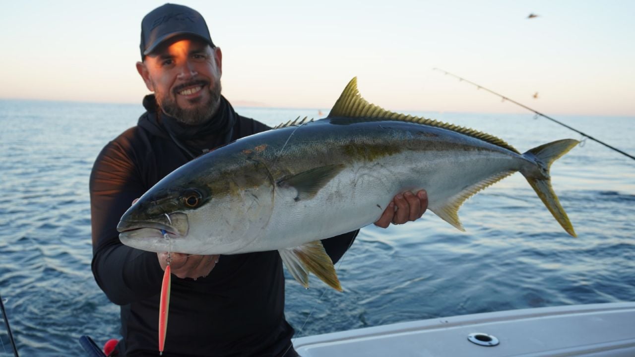 Buscan pescar al Más Grande con Maja desde San Carlos, Sonora